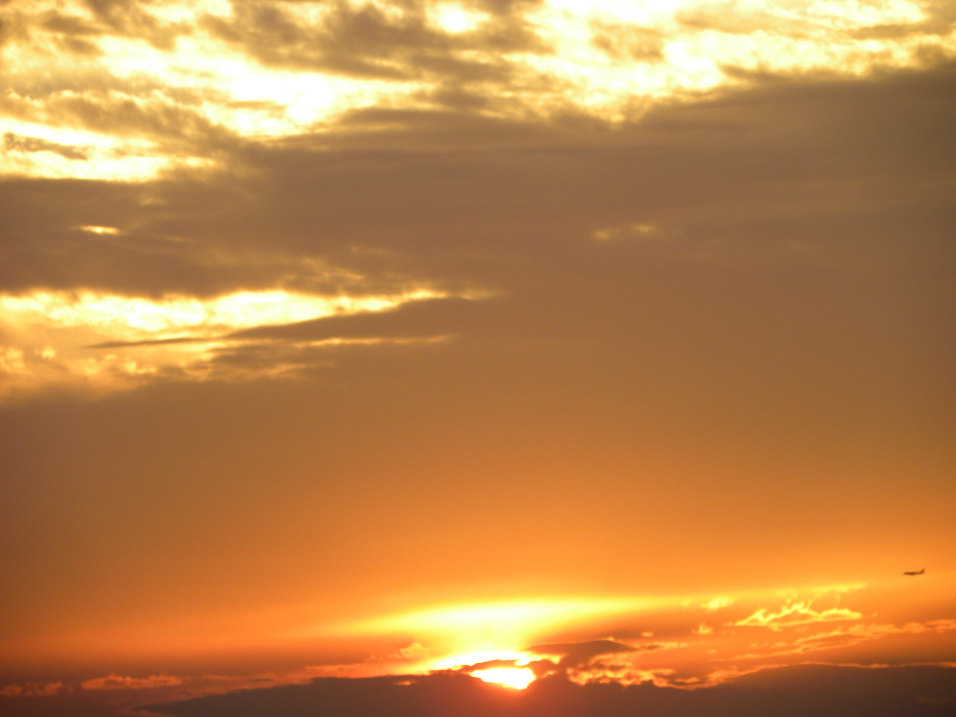 DSCN8287.JPG