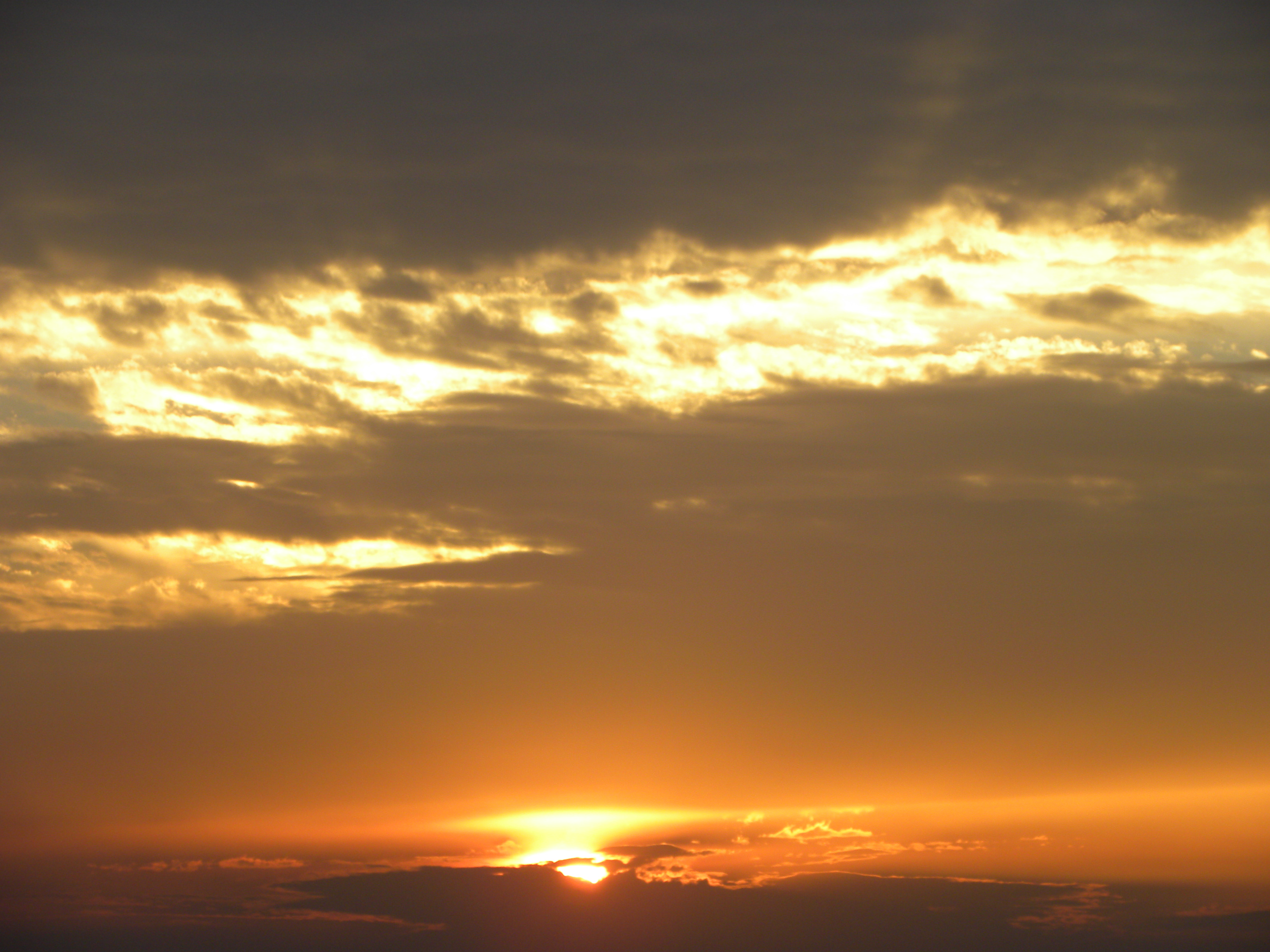 DSCN8286.JPG