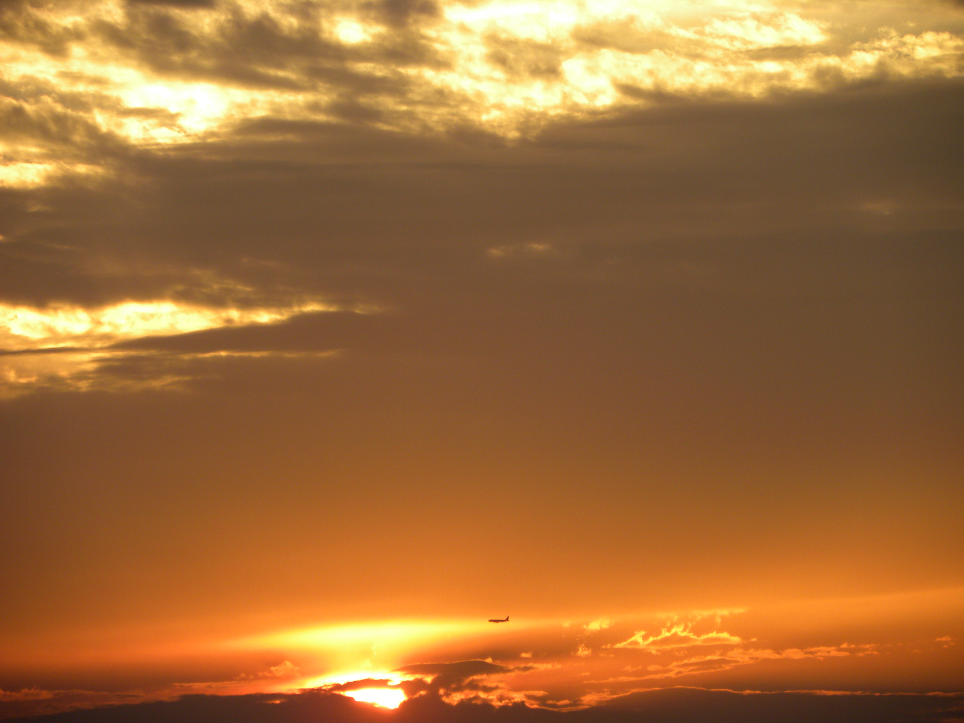 DSCN8288.JPG