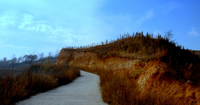 DSC_4193.JPG