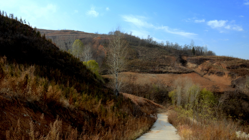 DSC_4194.JPG