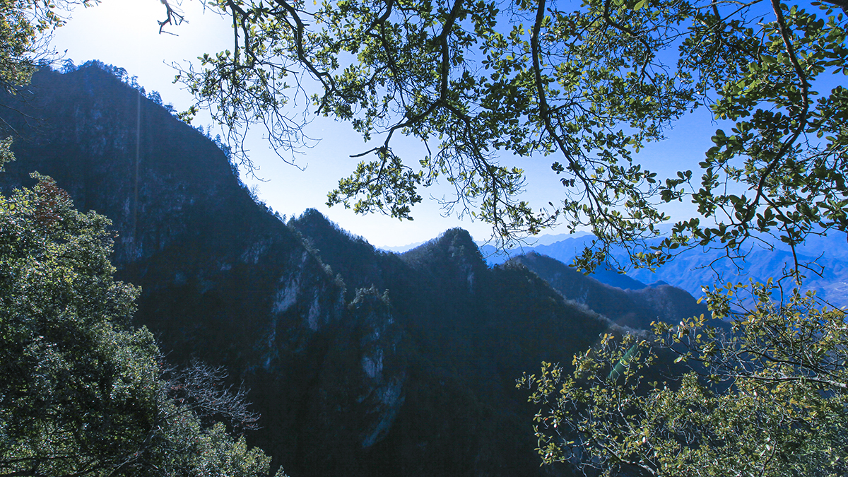 20131130_1233.jpg