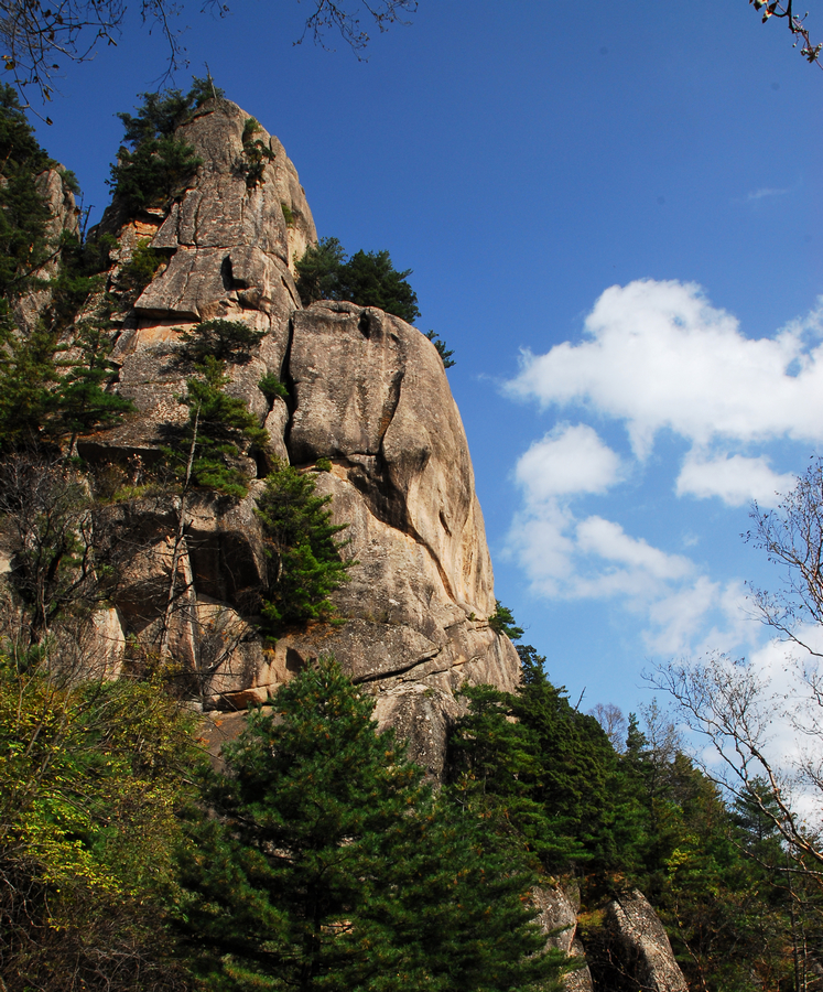 DSC_0170.JPG