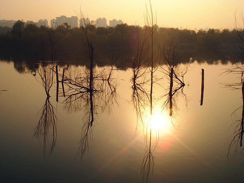 DSC02516_副本.jpg