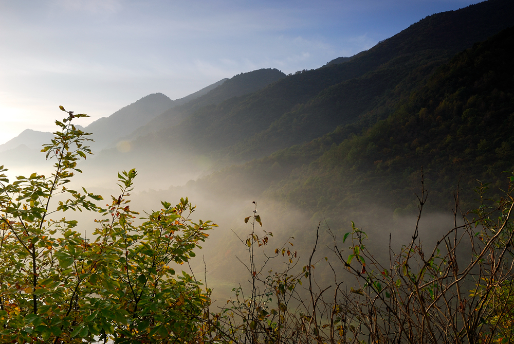 _DSC0218.jpg