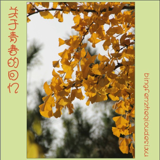 QQ图片20131208233704.jpg