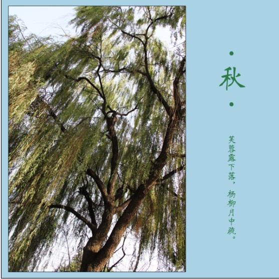 QQ图片20131208233807.jpg