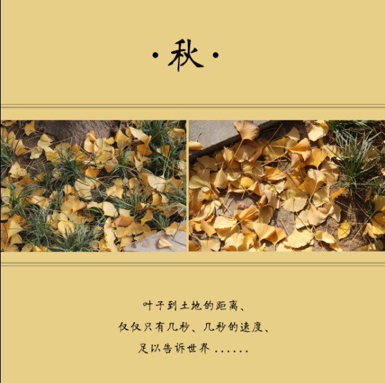 QQ图片20131208233821.jpg