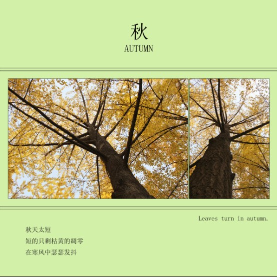 QQ图片20131208233908.jpg