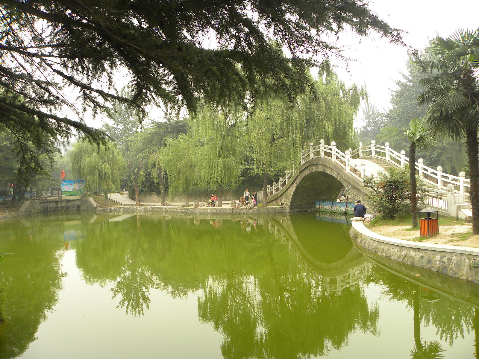 DSCN5975.JPG
