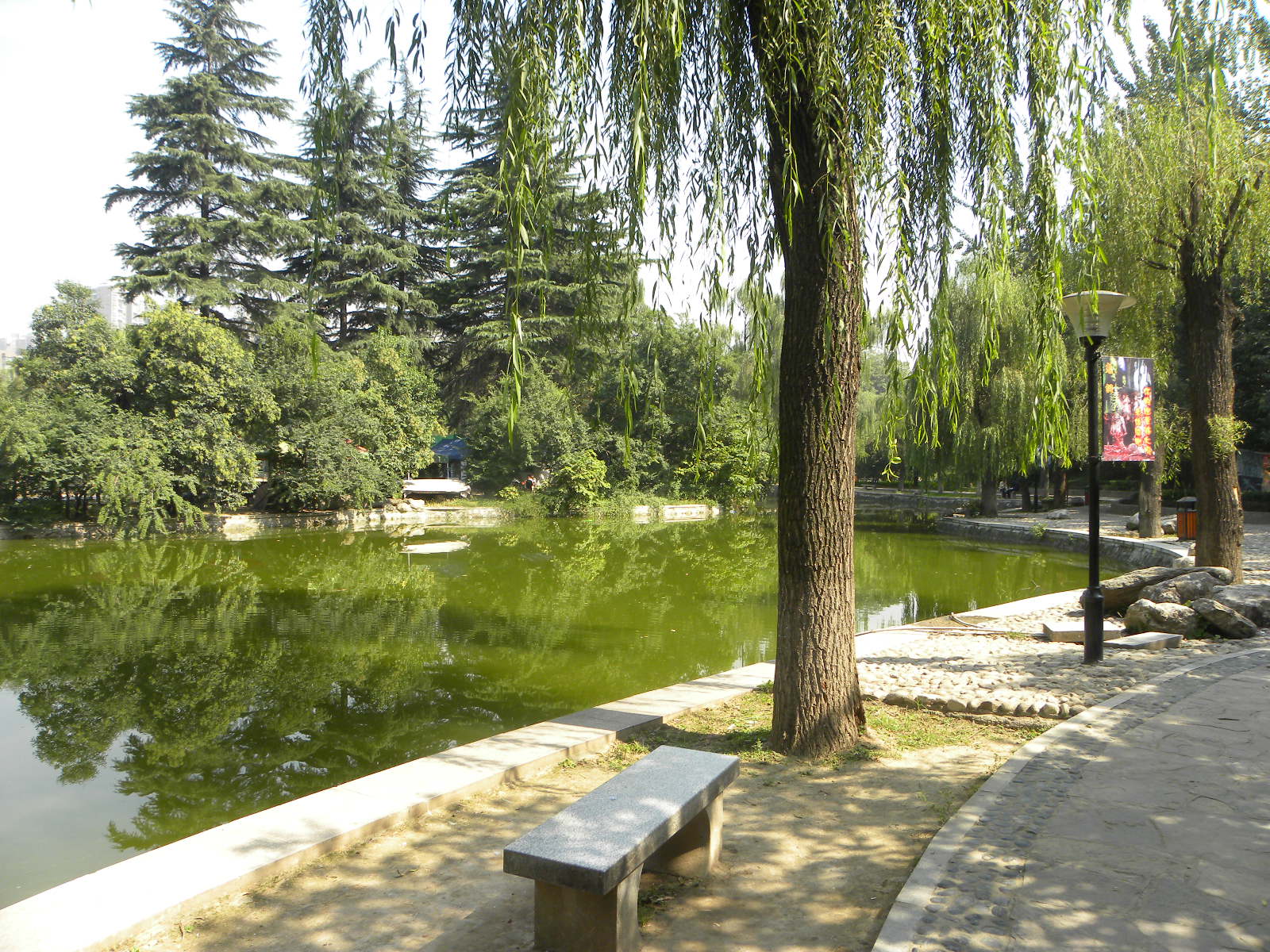 DSCN5908.JPG