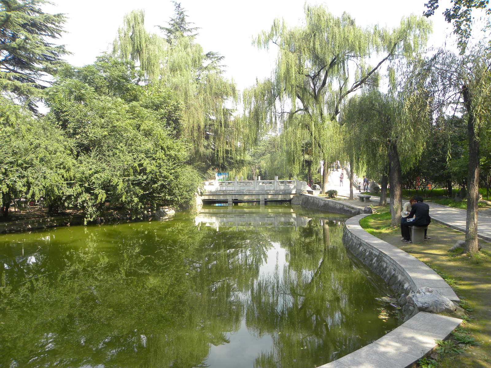 DSCN5910.JPG