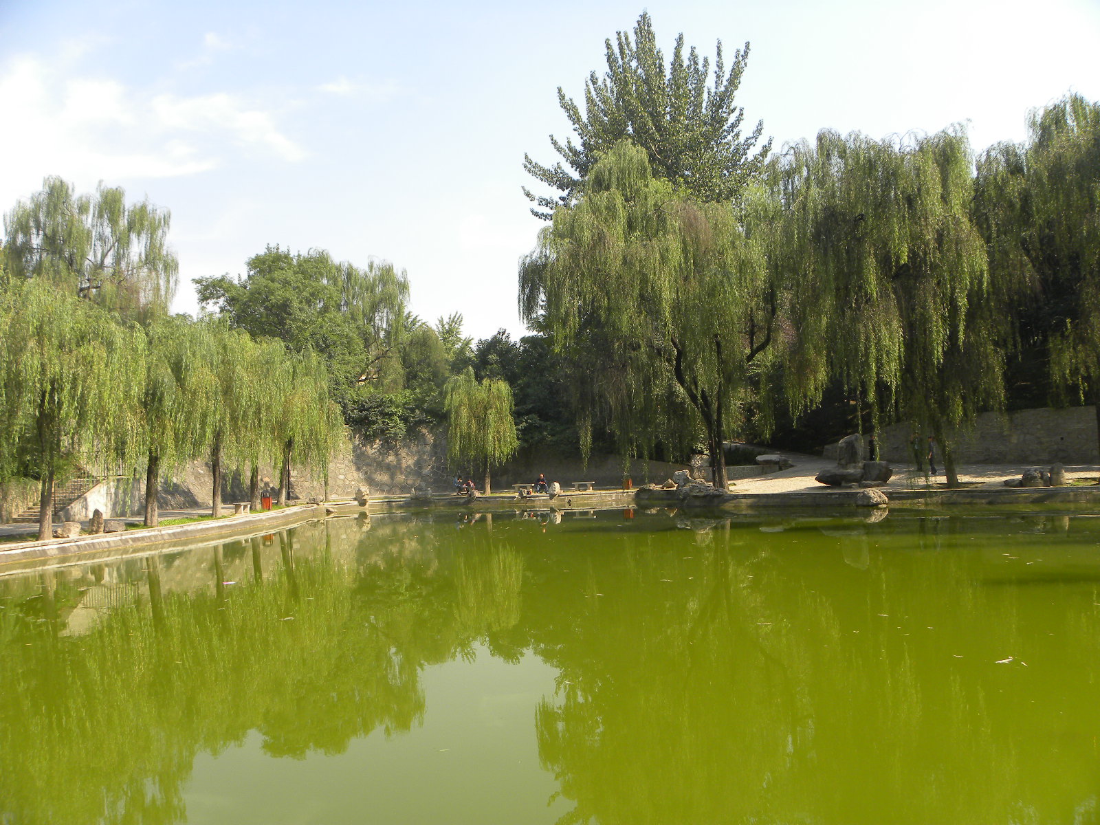 DSCN5912.JPG