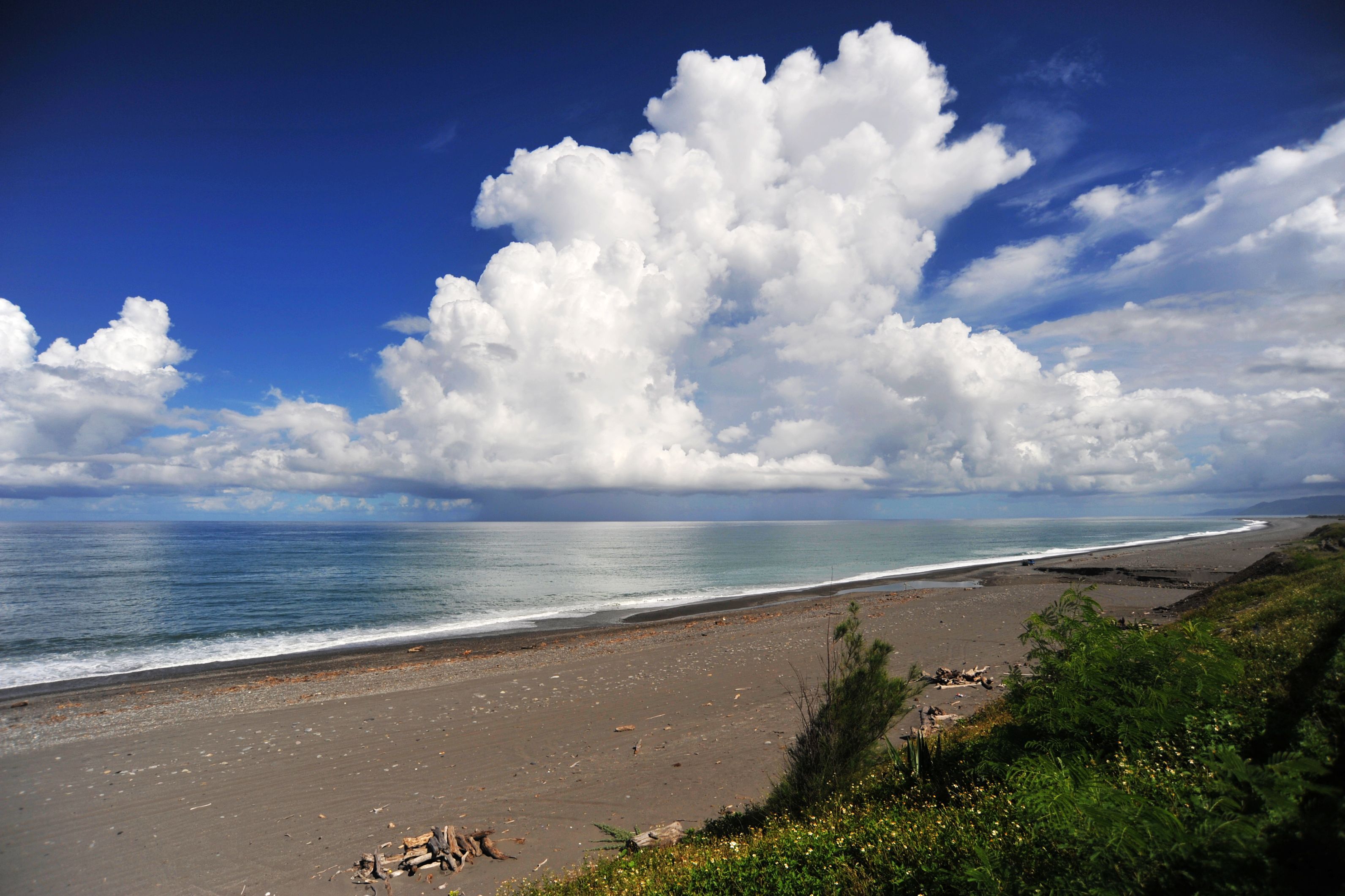 太平洋海岸