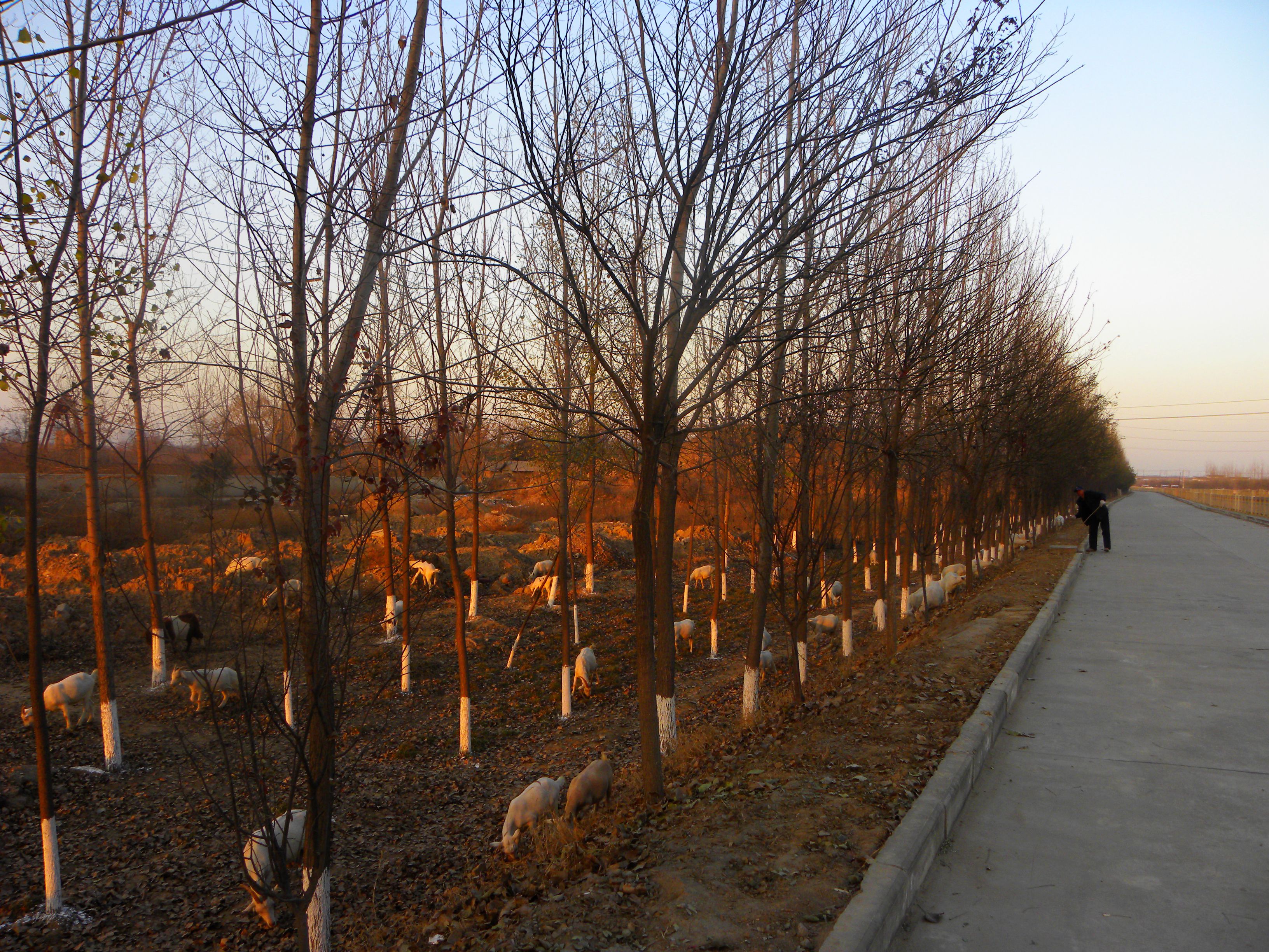 DSCN0376.JPG
