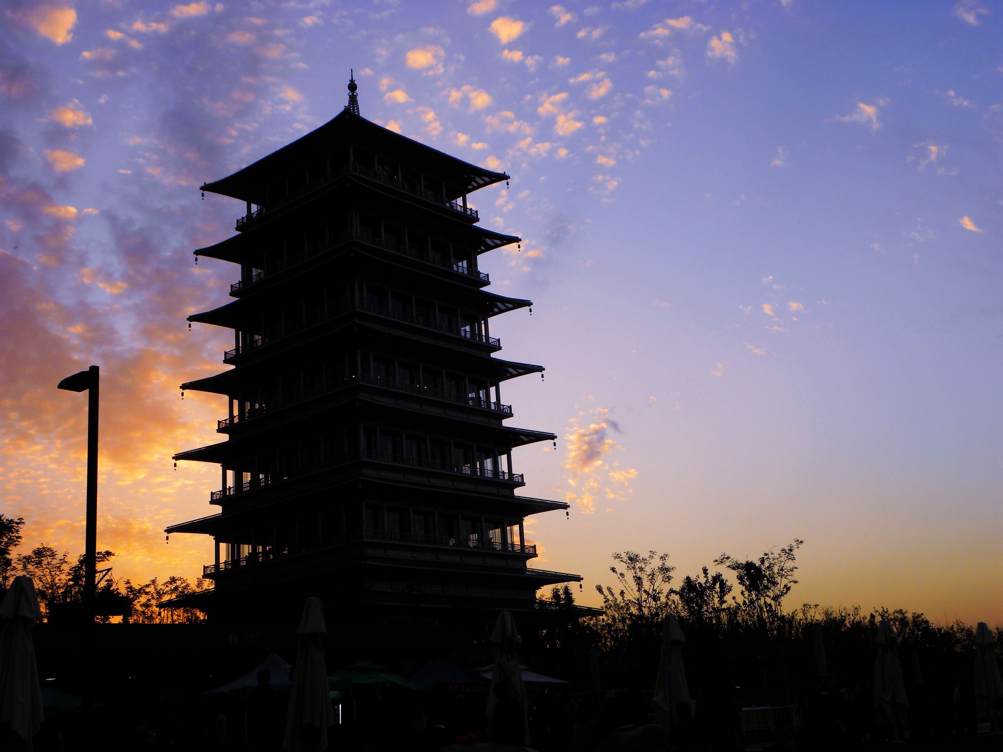 DSCN9505.JPG