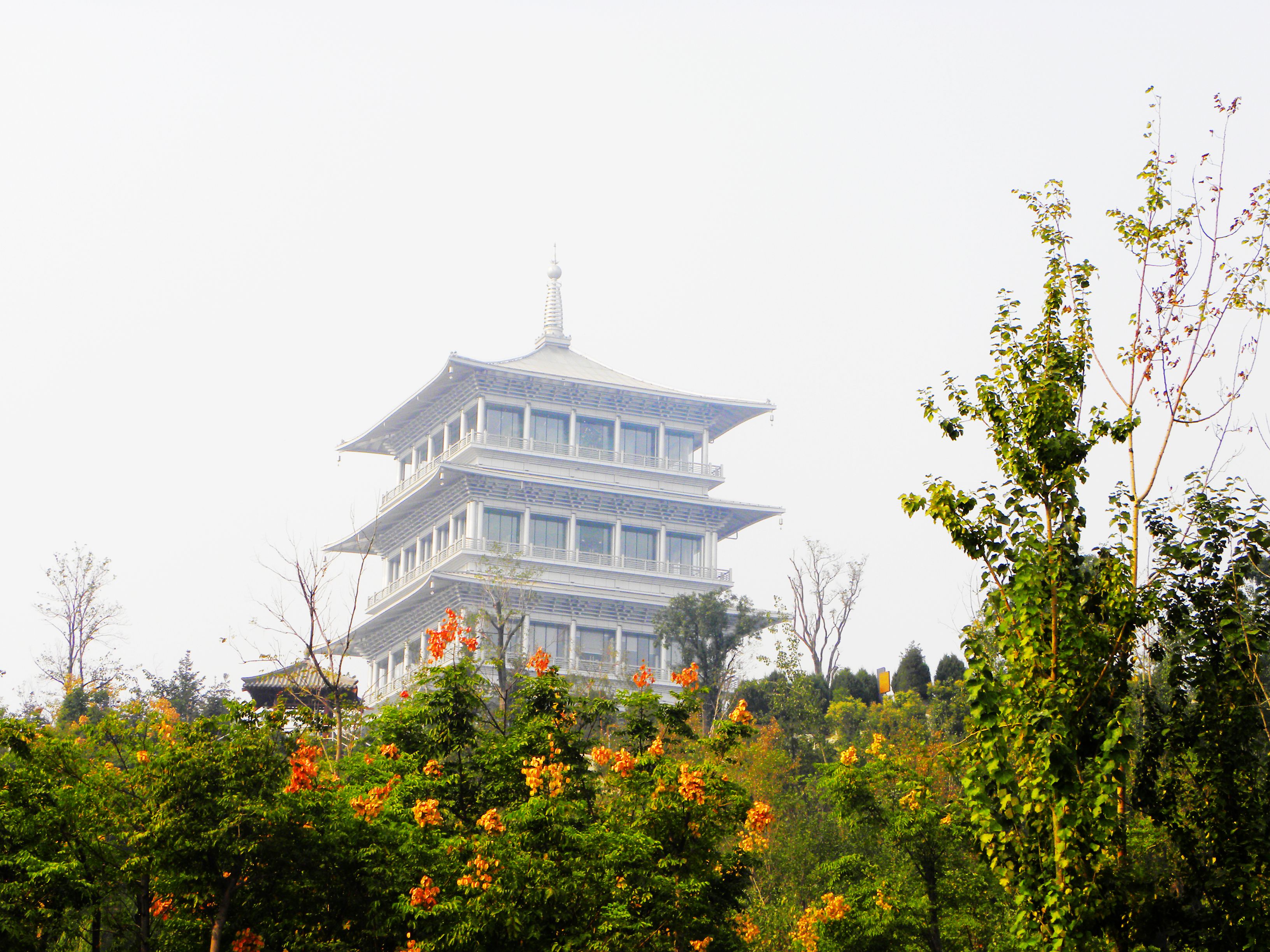 DSCN7338.JPG