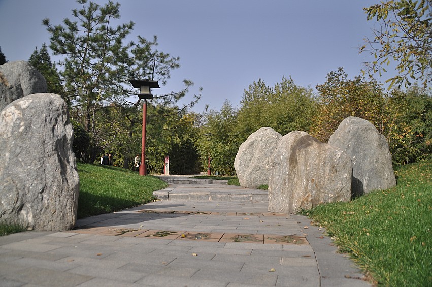 DSC_0016_conew1.jpg