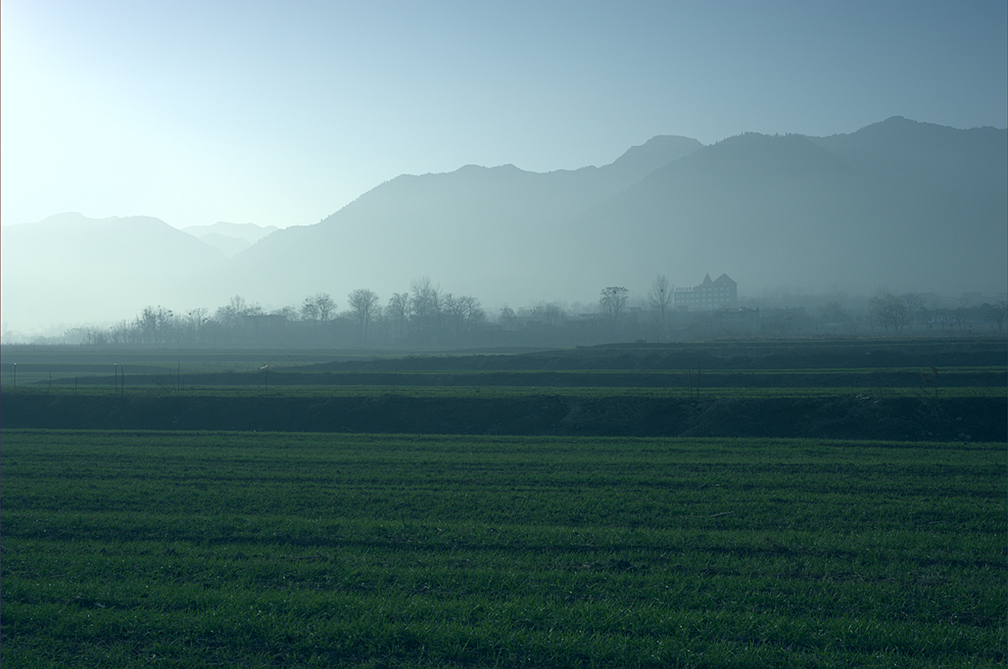 _DSC8202_副本.jpg