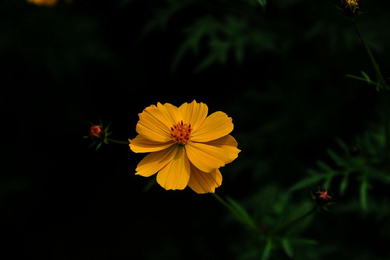 0SC_8382.jpg