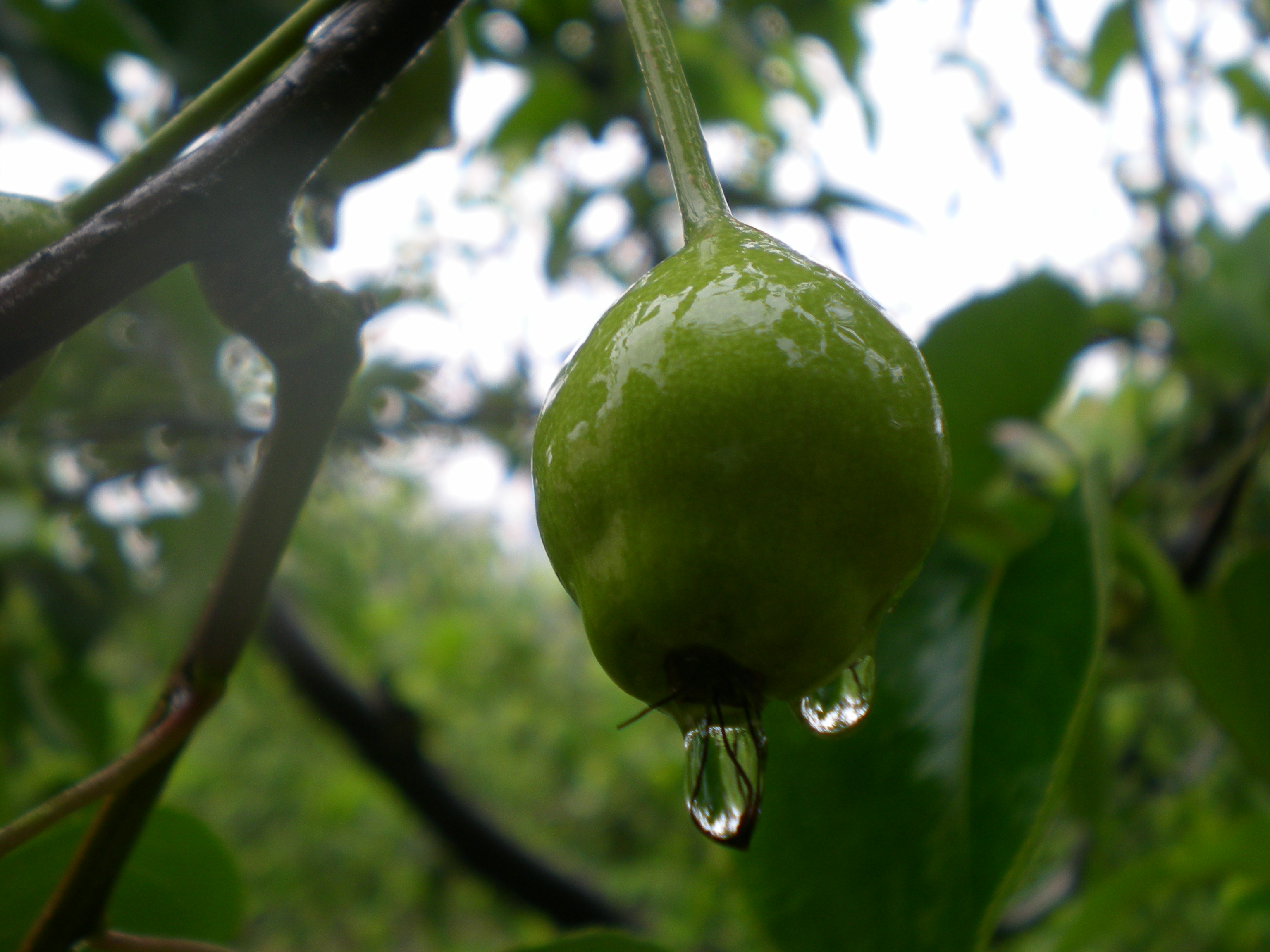 DSCN6551.JPG
