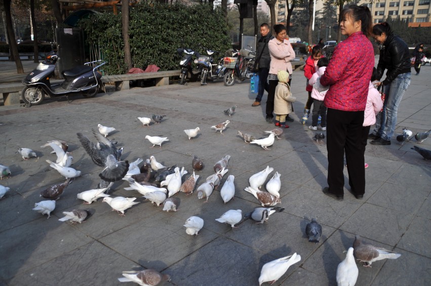 DSC_0044_conew1.jpg