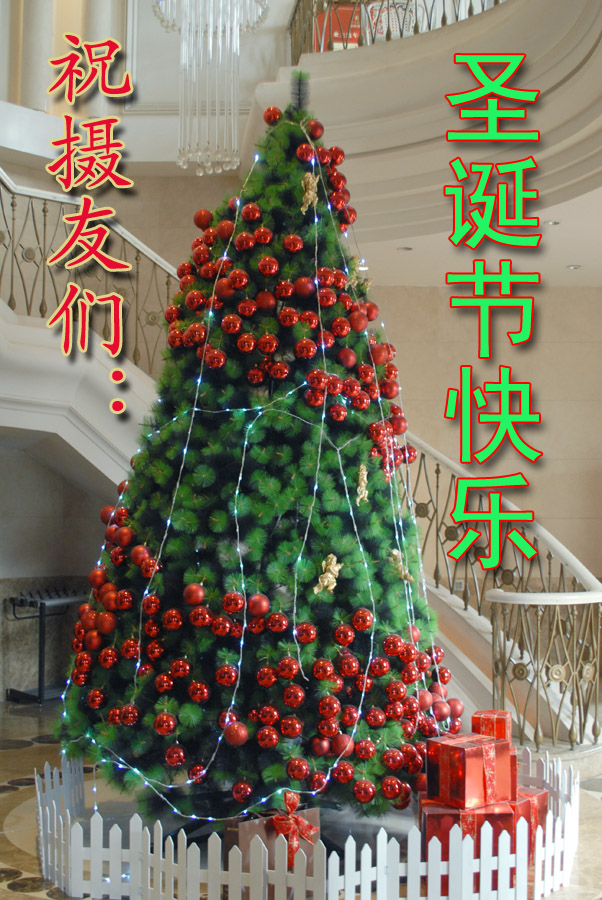 圣诞节快乐.jpg