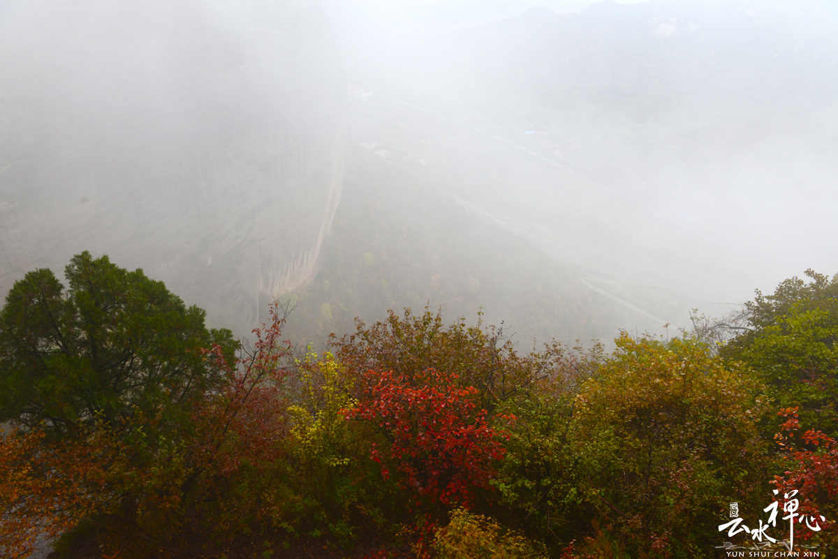 DSC_4371.JPG
