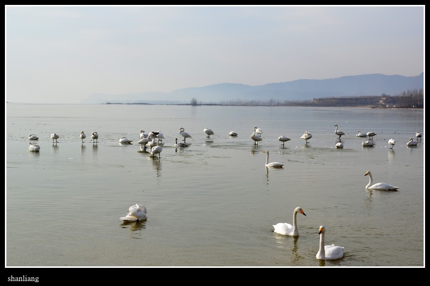 DSC_0779_conew1.jpg