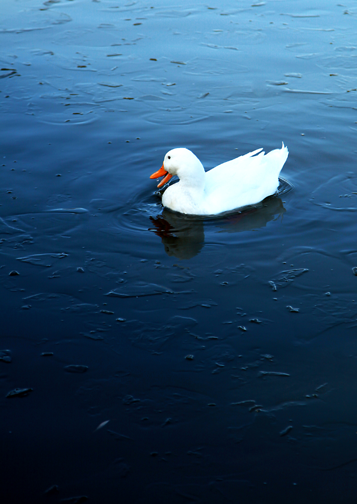 20131231 025.jpg
