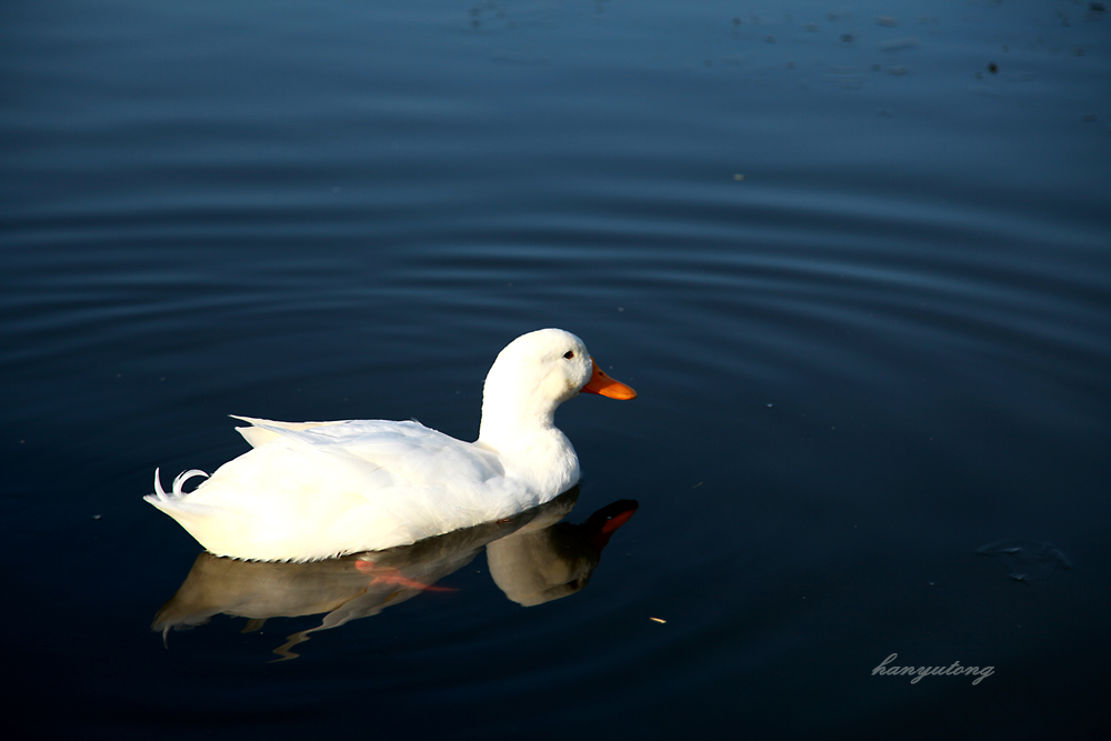 20131231 030.jpg