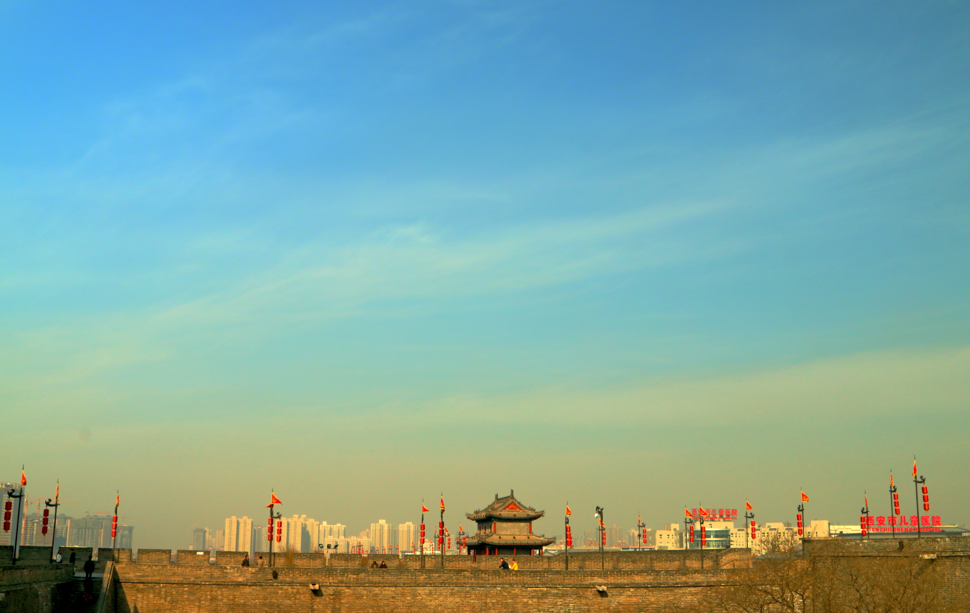 DPP_0019.JPG