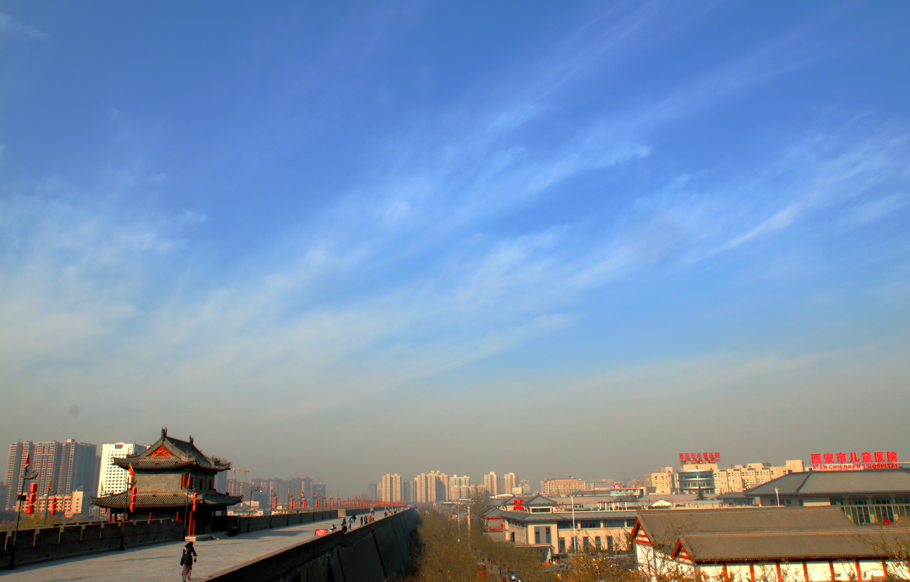 DPP_0022.JPG