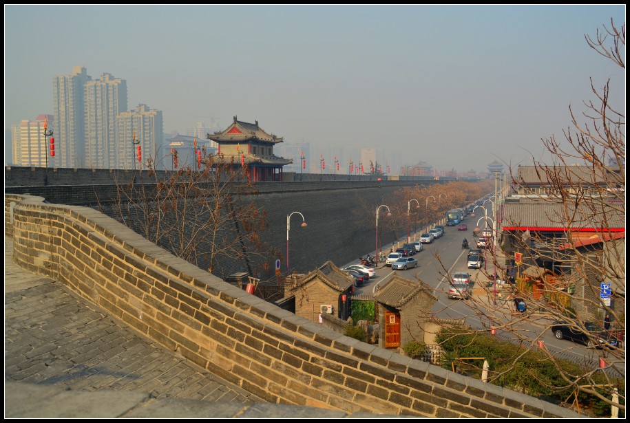 DSC_0785_conew1.jpg