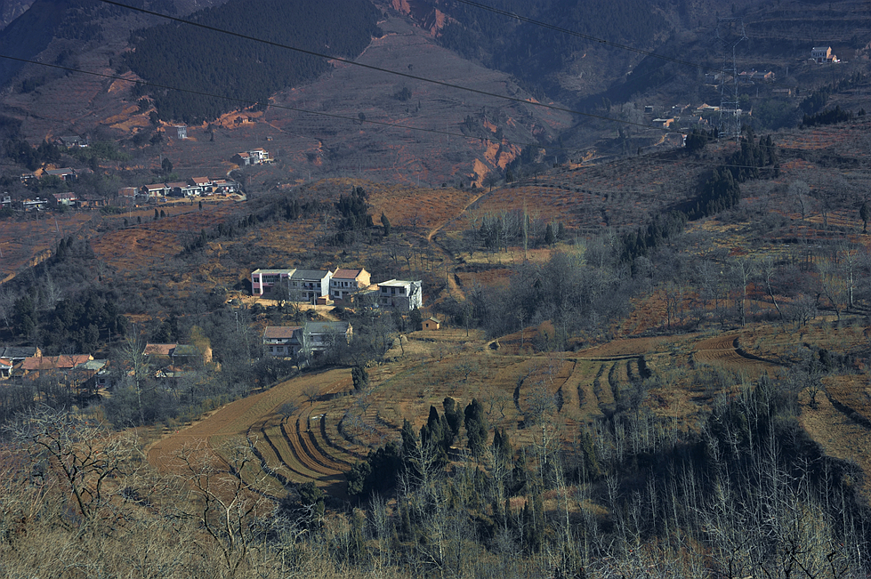_DSC8253_40.jpg
