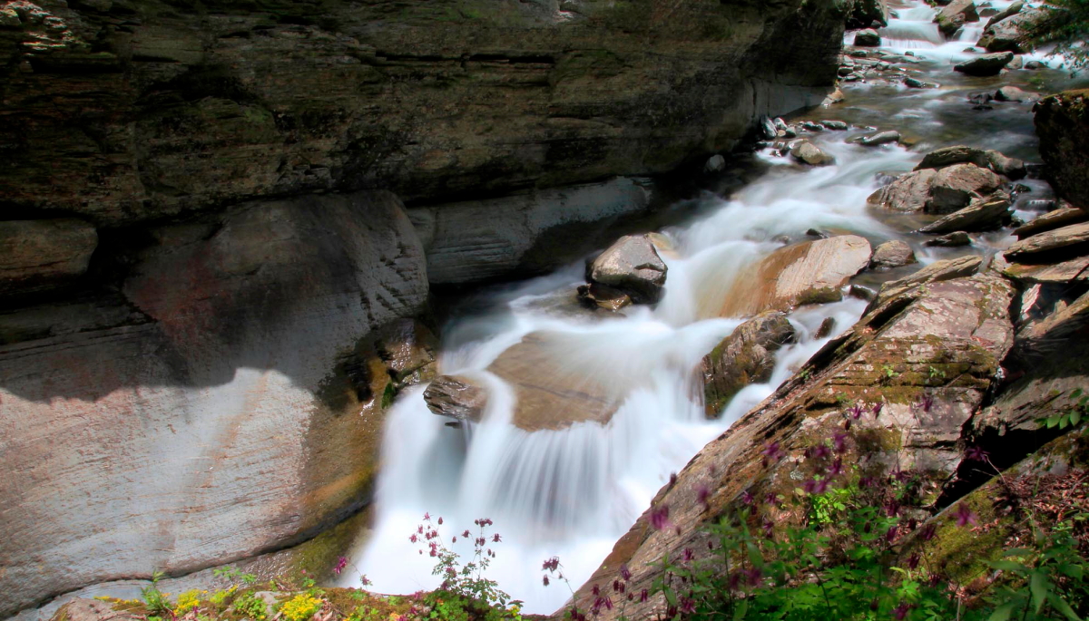 DPP_0009.JPG