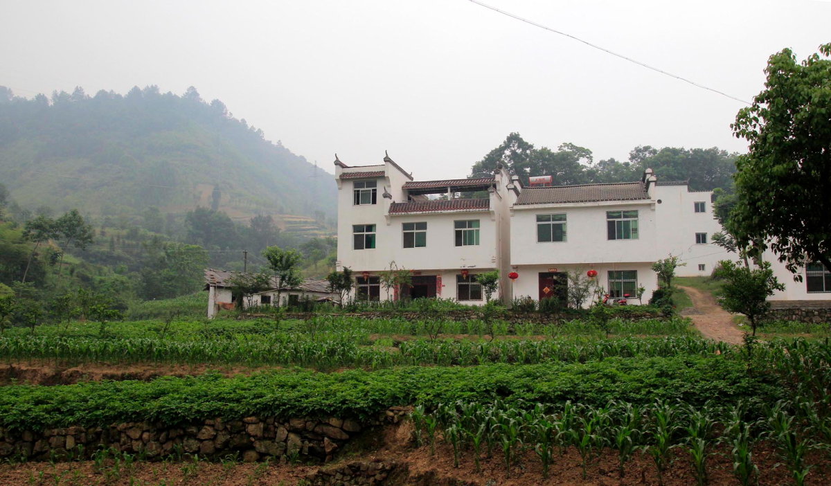 DPP_0010.JPG