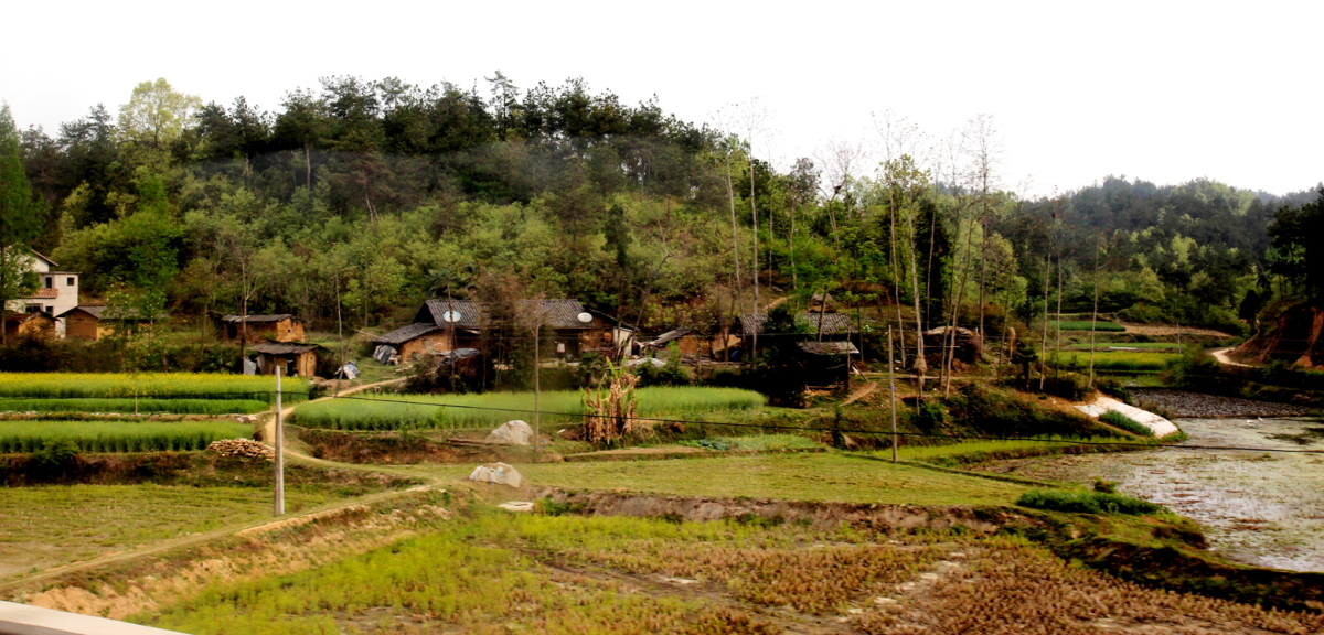 DPP_0014.JPG