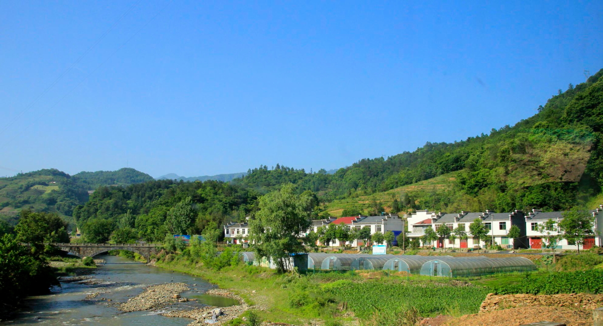 DPP_0020.JPG
