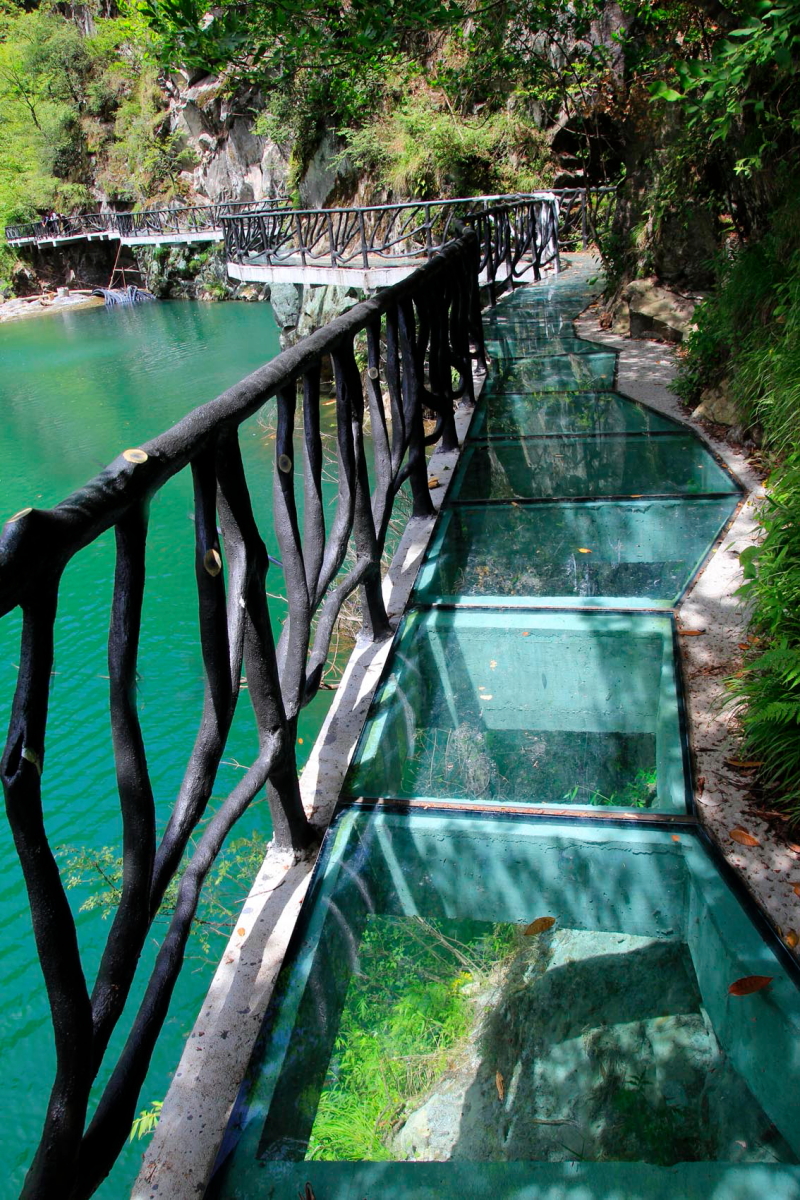 DPP_0005.JPG