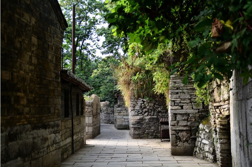 DSC_0360_conew2.jpg