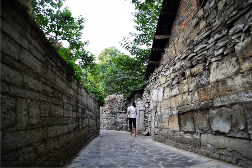 DSC_0366_conew2.jpg