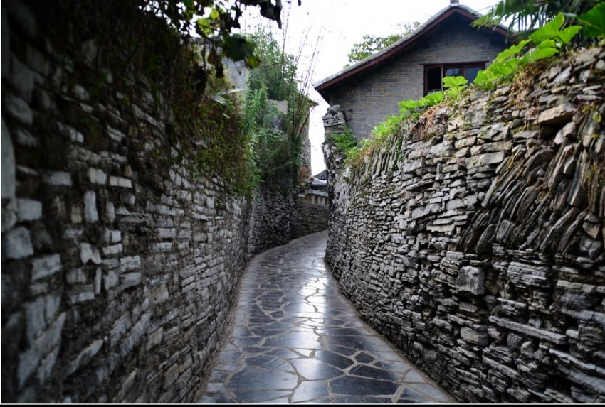 DSC_0376_conew2.jpg