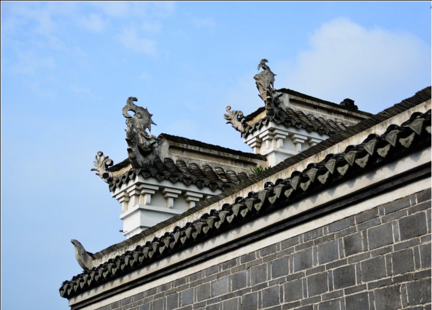 DSC_0437_conew2.jpg