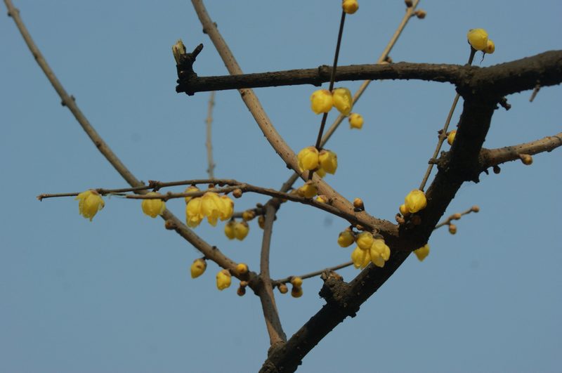 DSC07438.JPG