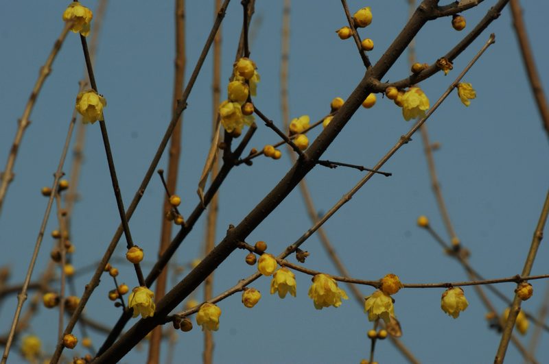 DSC07456.JPG