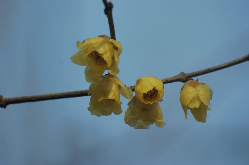 DSC07475.JPG