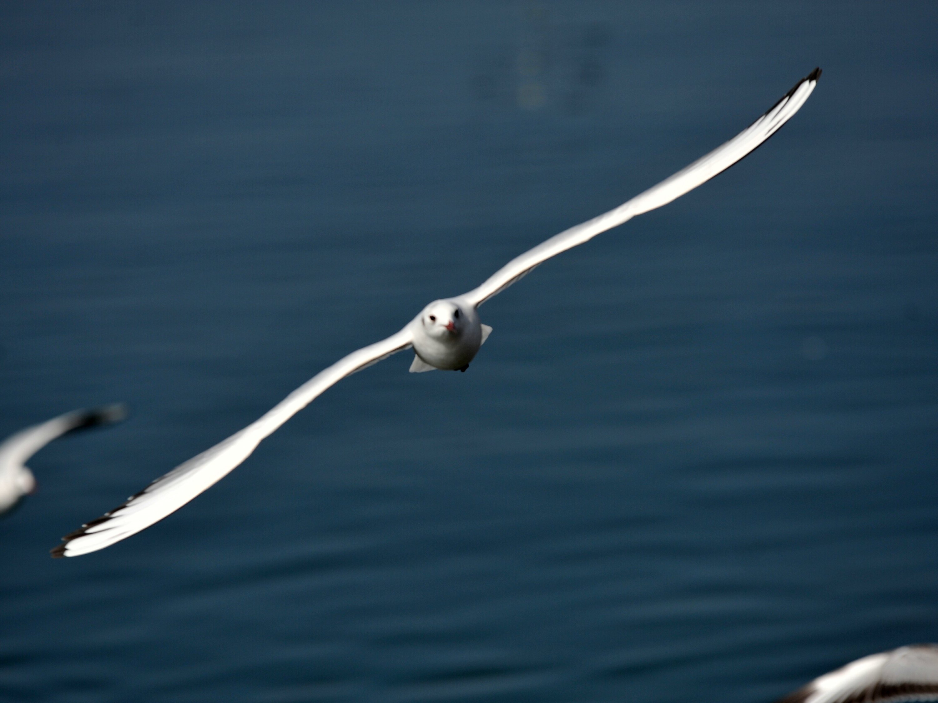 DSC_6748.JPG