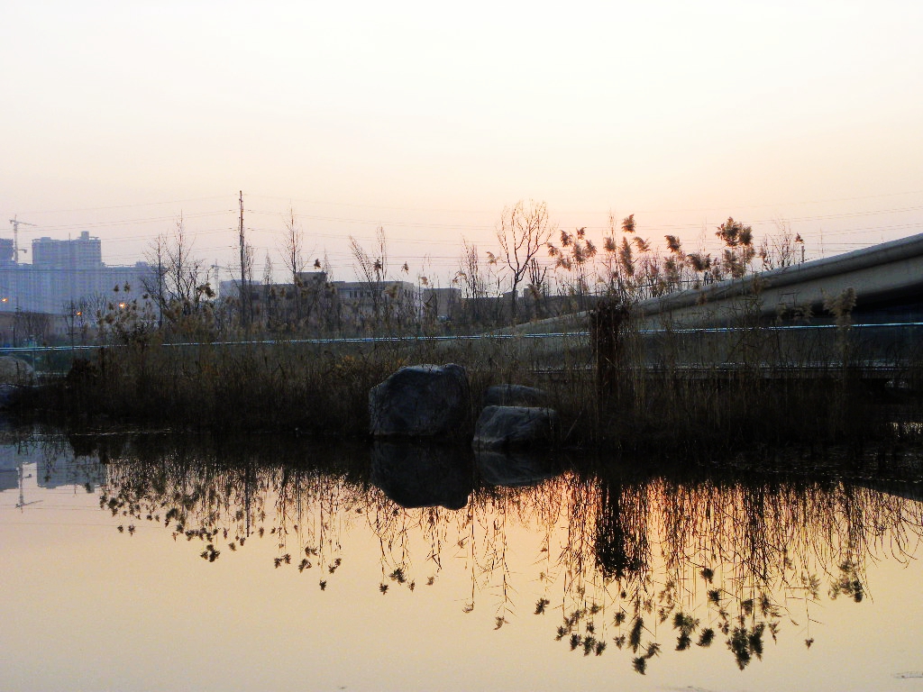 DSCN1569.JPG
