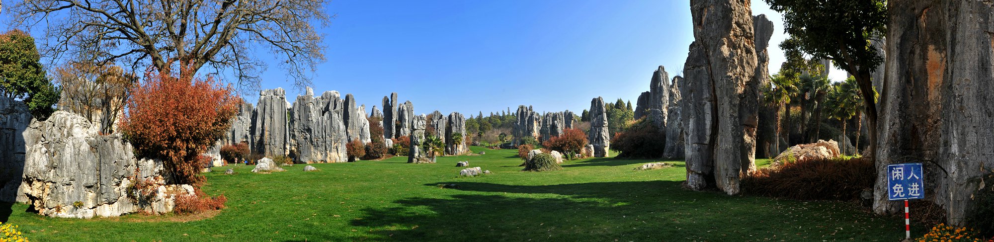 未标题_全景444图1.jpg